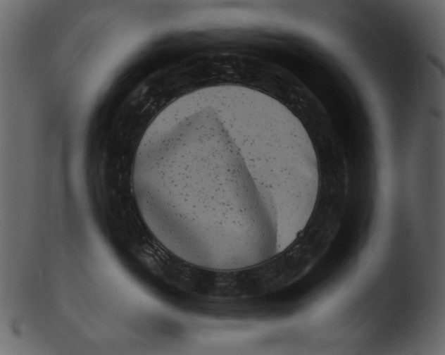 X0000103310766200809261337