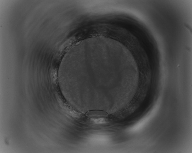 X0000103310767200809261337