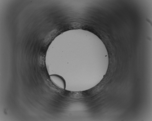 X0000103310768200809261337