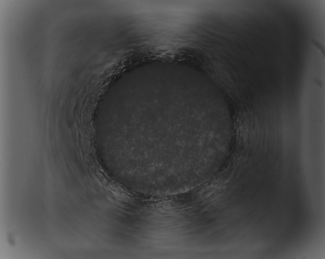 X0000103310769200809261336