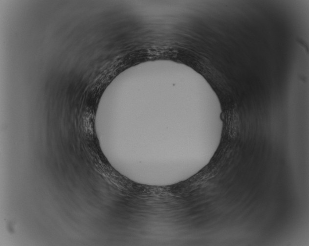 X0000103310770200809261336