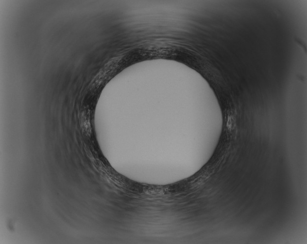 X0000103310771200809261336