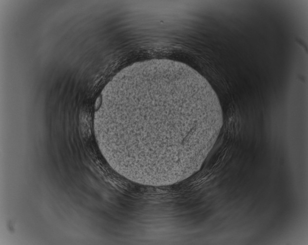 X0000103310772200809261336