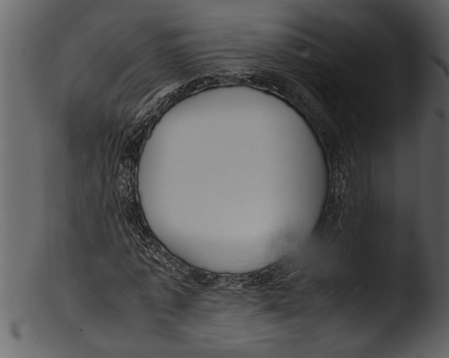 X0000103310773200809261336