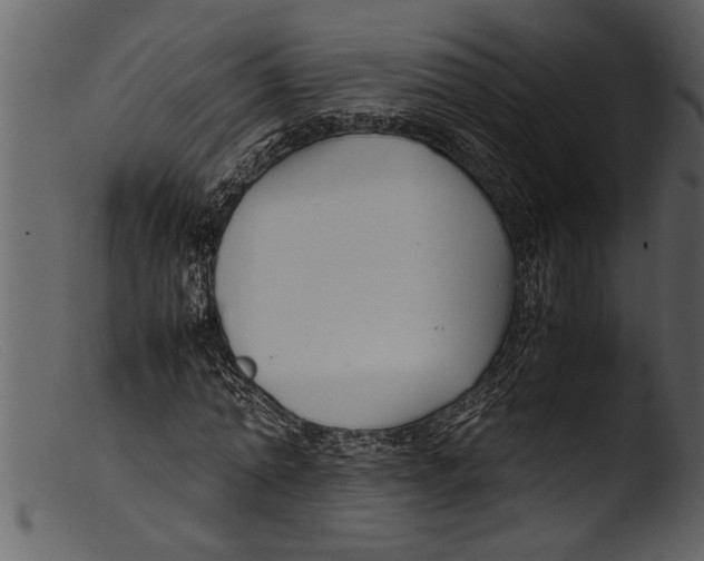 X0000103310774200809261336