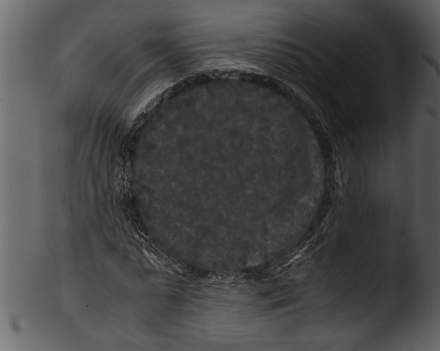 X0000103310775200809261336