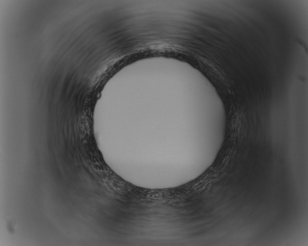 X0000103310776200809261336