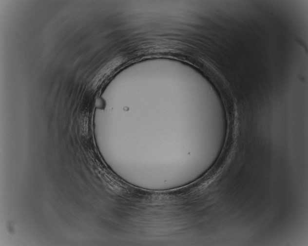 X0000103310777200809261336