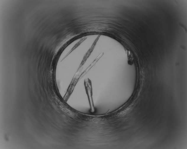 X0000103310779200809261336