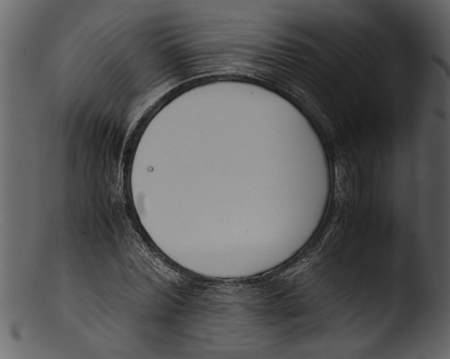 X0000103310780200809261336