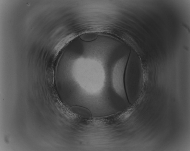 X0000103310781200809261336