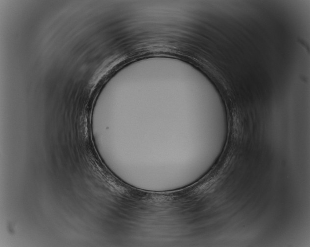 X0000103310782200809261336