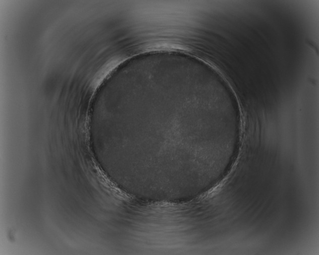 X0000103310783200809261336