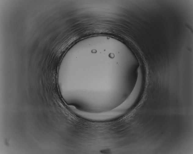 X0000103310785200809261336