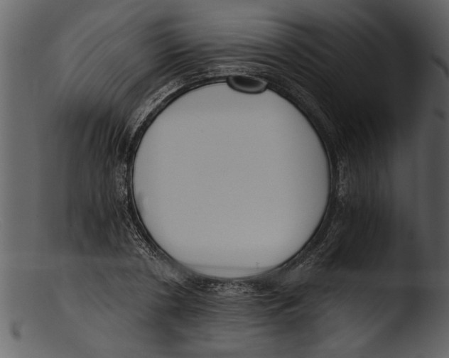 X0000103310786200809261336