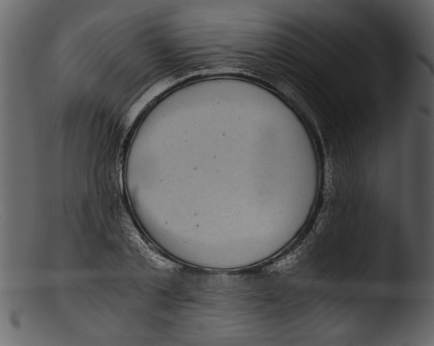 X0000103310789200809261336