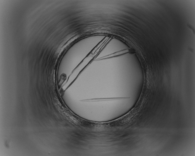 X0000103310790200809261336