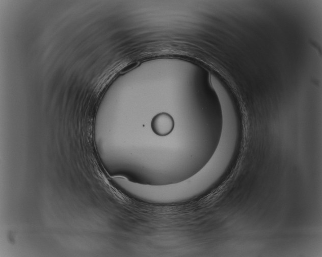 X0000103310793200809261336