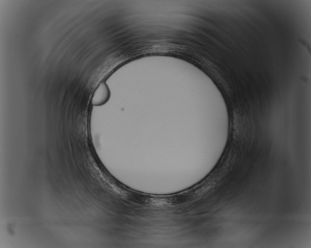 X0000103310794200809261336