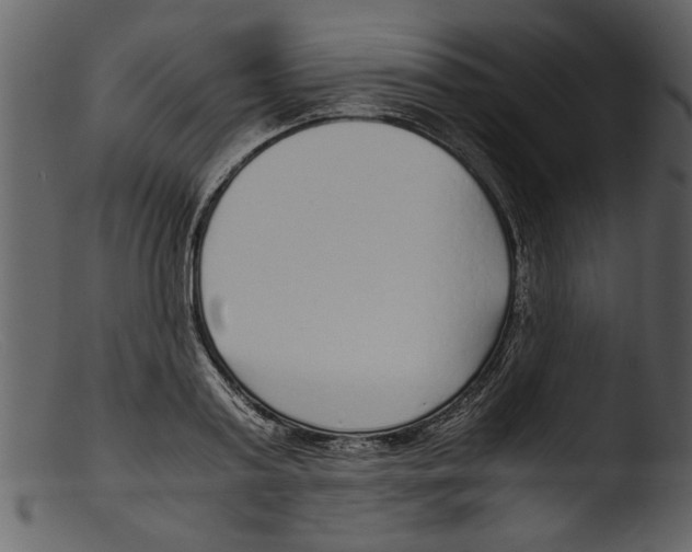 X0000103310795200809261336