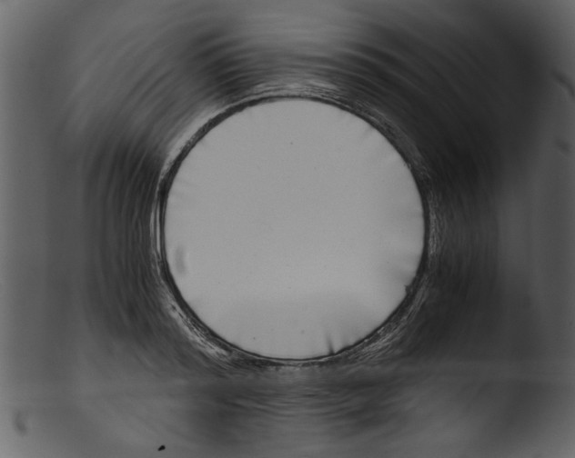 X0000103310796200809261336