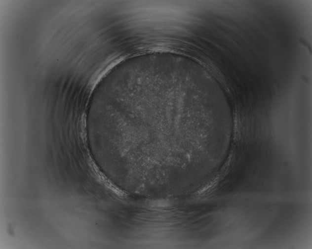 X0000103310798200809261335