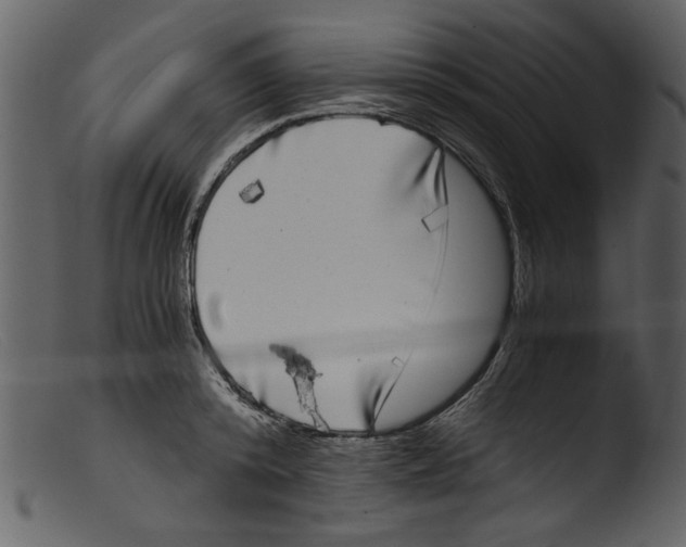 X0000103310800200809261335