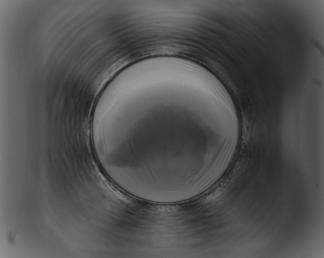 X0000103310802200809261335