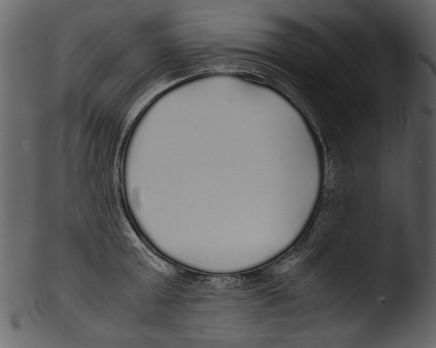 X0000103310803200809261335