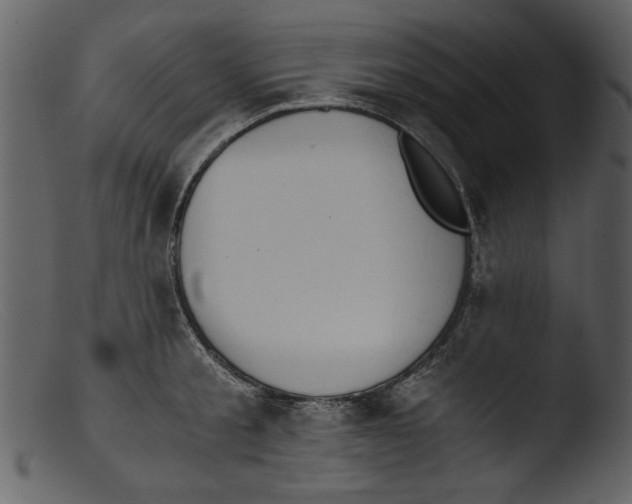 X0000103310805200809261335