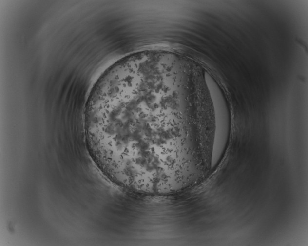 X0000103310808200809261335