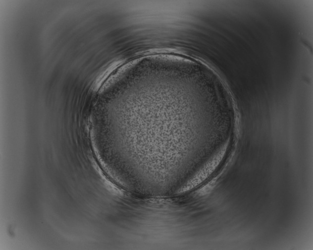 X0000103310809200809261335