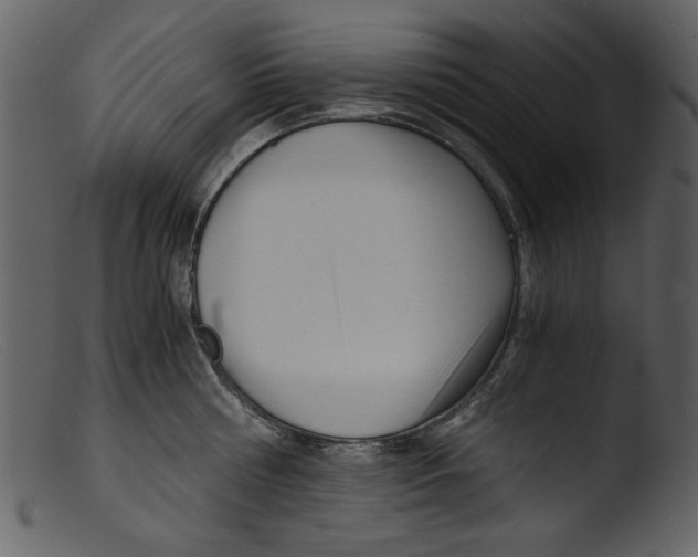 X0000103310810200809261335