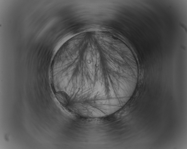 X0000103310811200809261335
