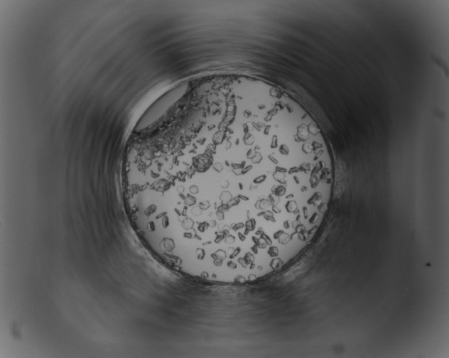 X0000103310812200809261335