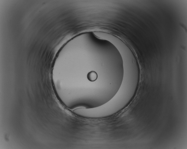 X0000103310813200809261335