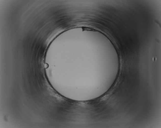 X0000103310814200809261335