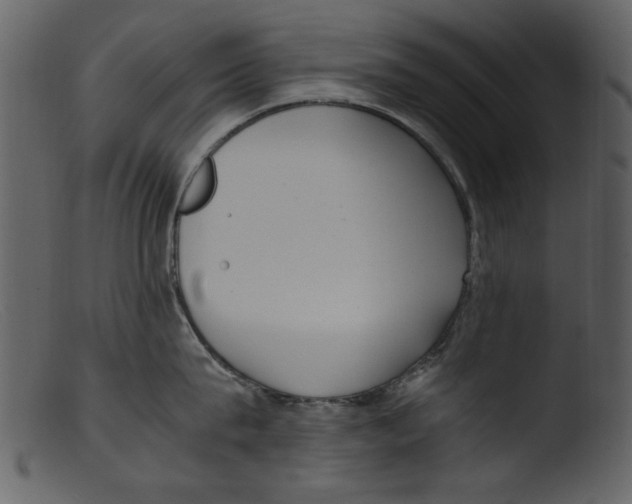 X0000103310815200809261335