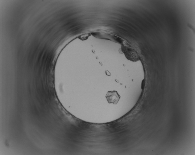 X0000103310816200809261335