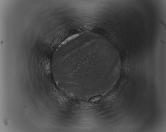 X0000103310818200809261334