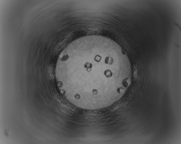 X0000103310819200809261334
