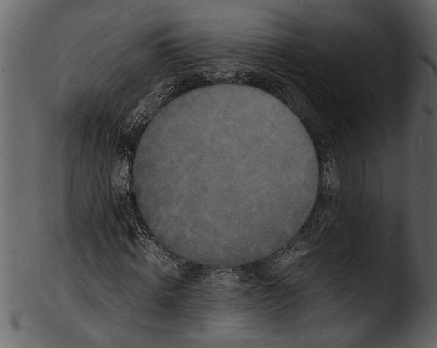 X0000103310820200809261334