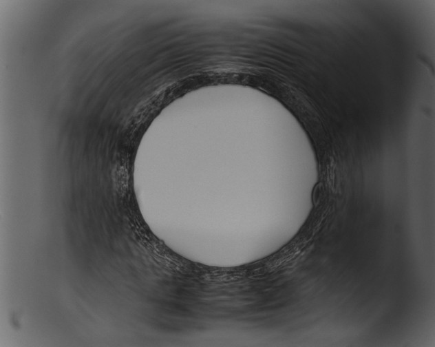 X0000103310821200809261334