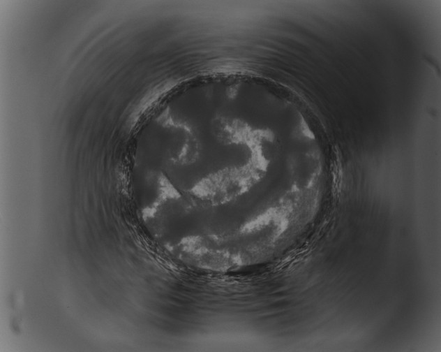 X0000103310823200809261334