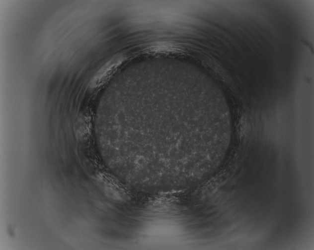 X0000103310824200809261335