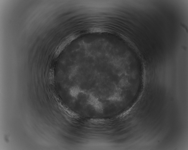 X0000103310825200809261335