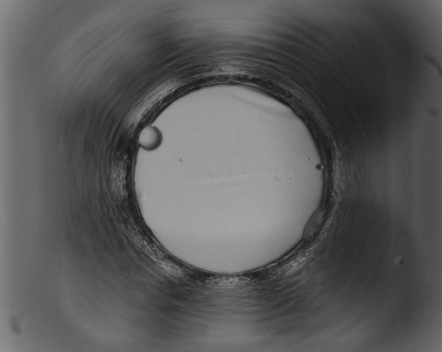 X0000103310826200809261335