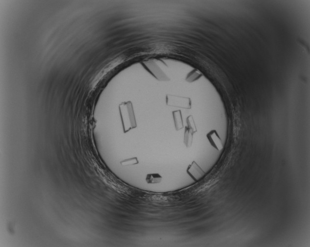 X0000103310827200809261335