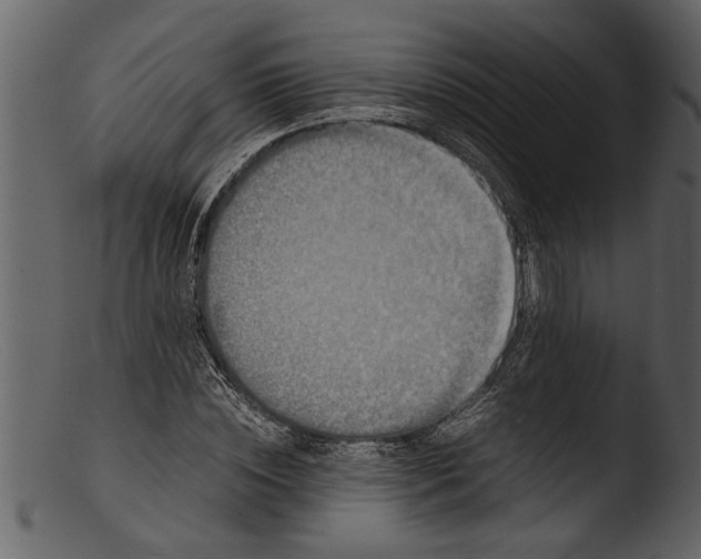 X0000103310828200809261335