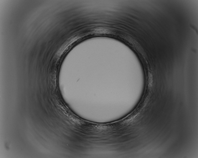 X0000103310829200809261335